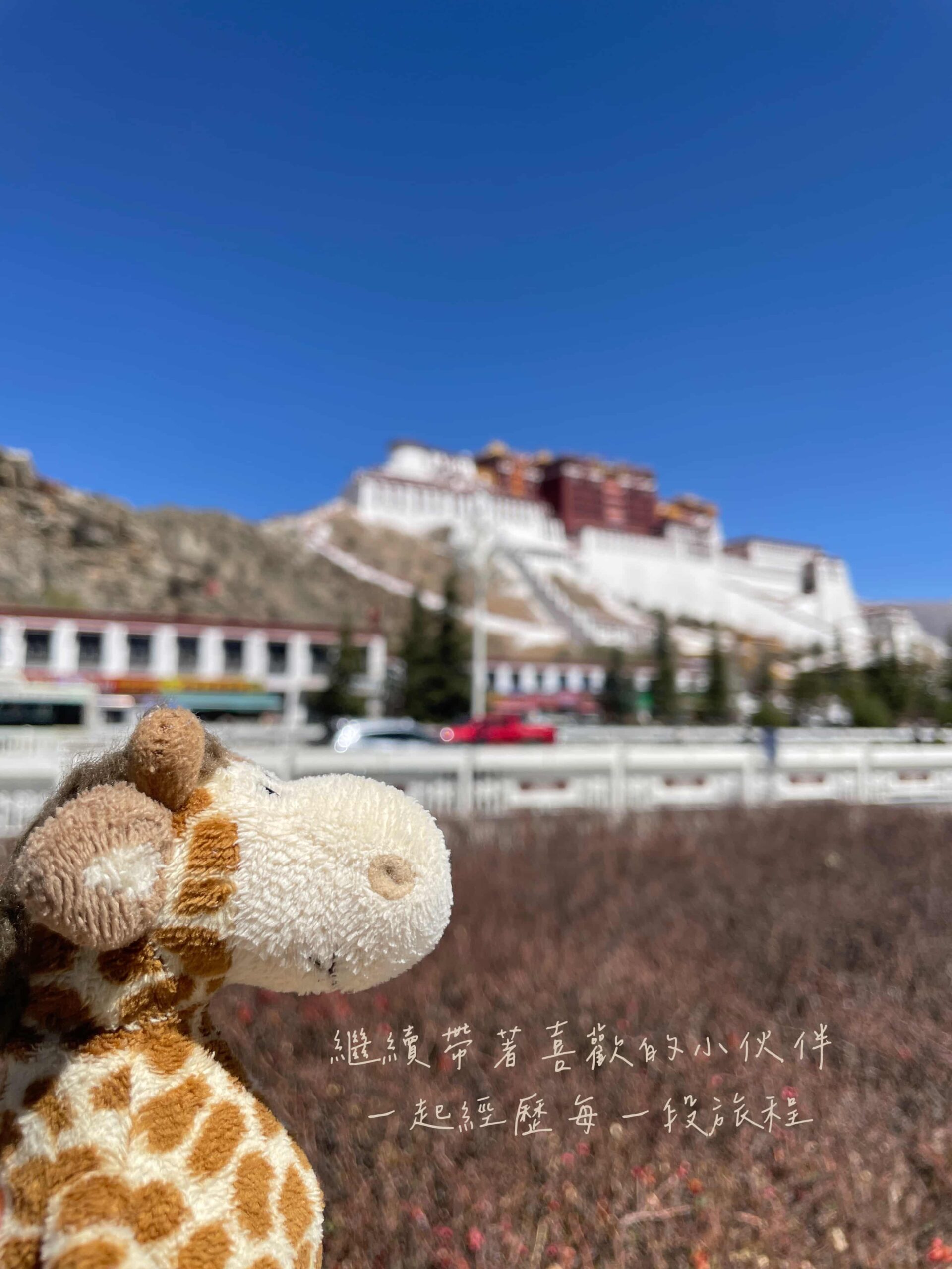 西藏療癒之旅